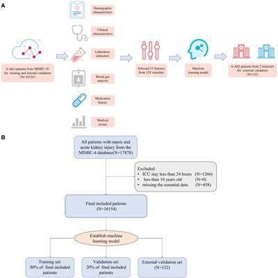 Machine learning for the prediction of all-cause mortality in patients with sepsis-associated acute kidney injury during hospitalization